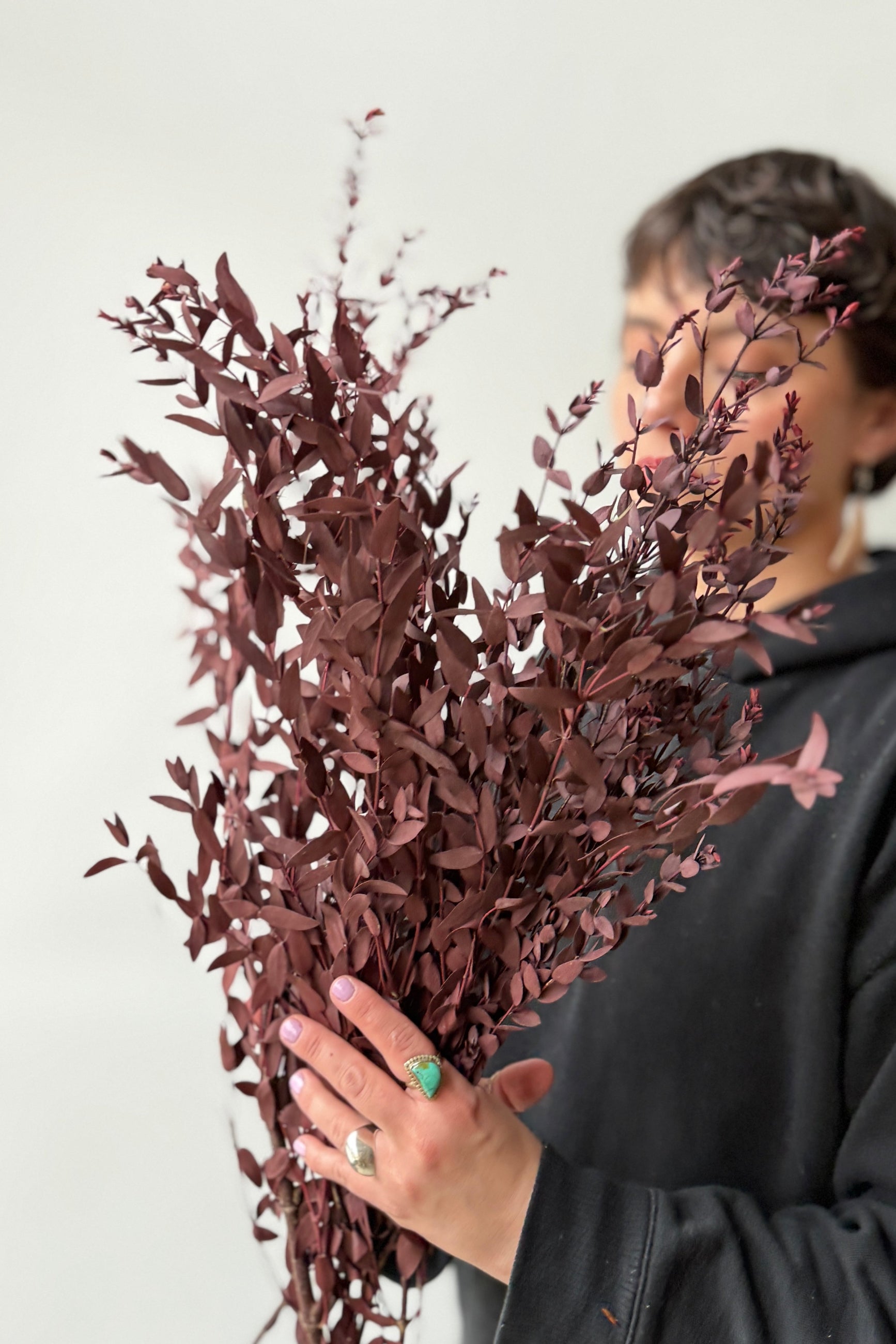 Person holding a Eucalyptus Parvifolia Burgundy Color Preserved Bunch against a plain background ©Sprout Home