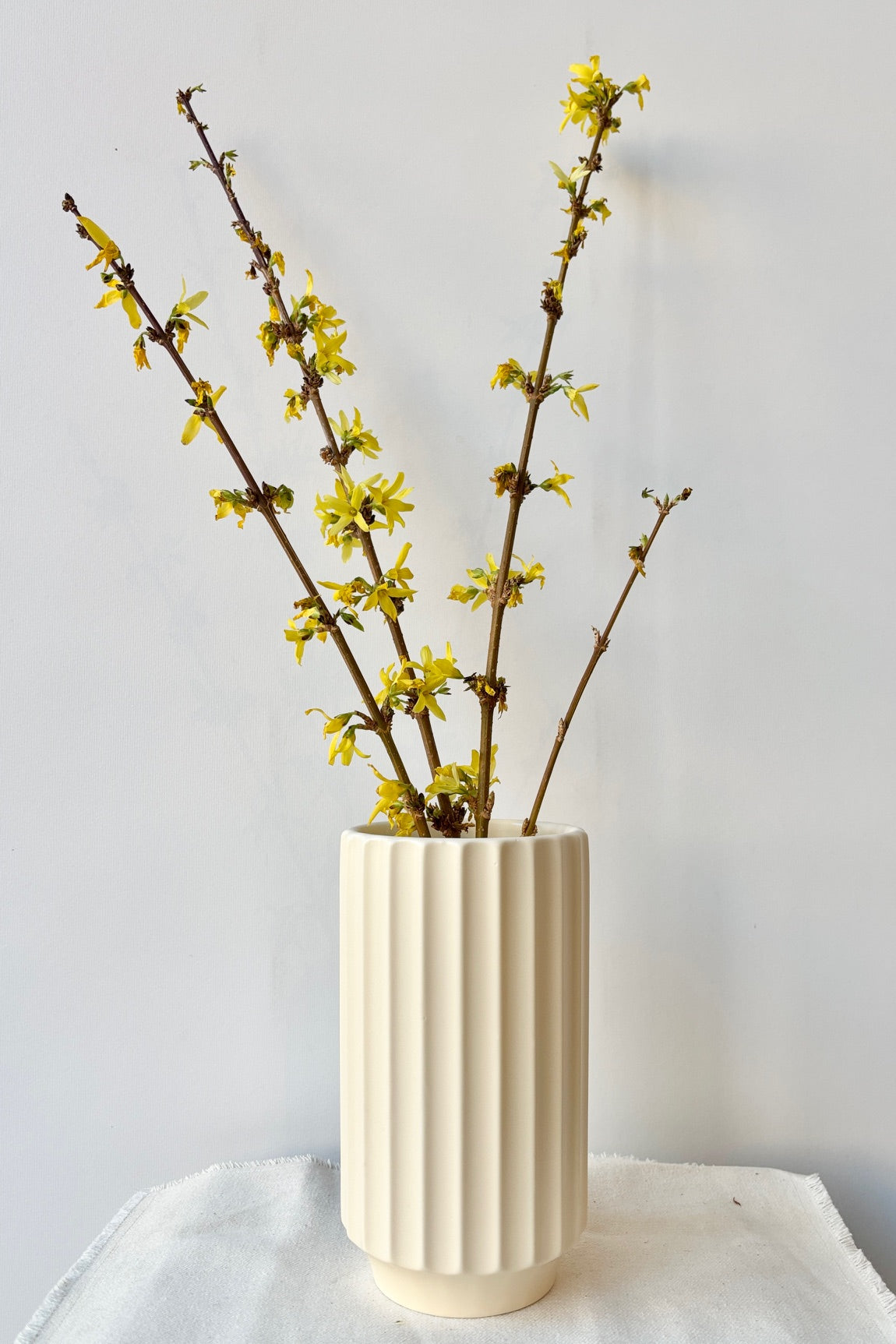 Vintage white ribbed ceramic vase against a white background