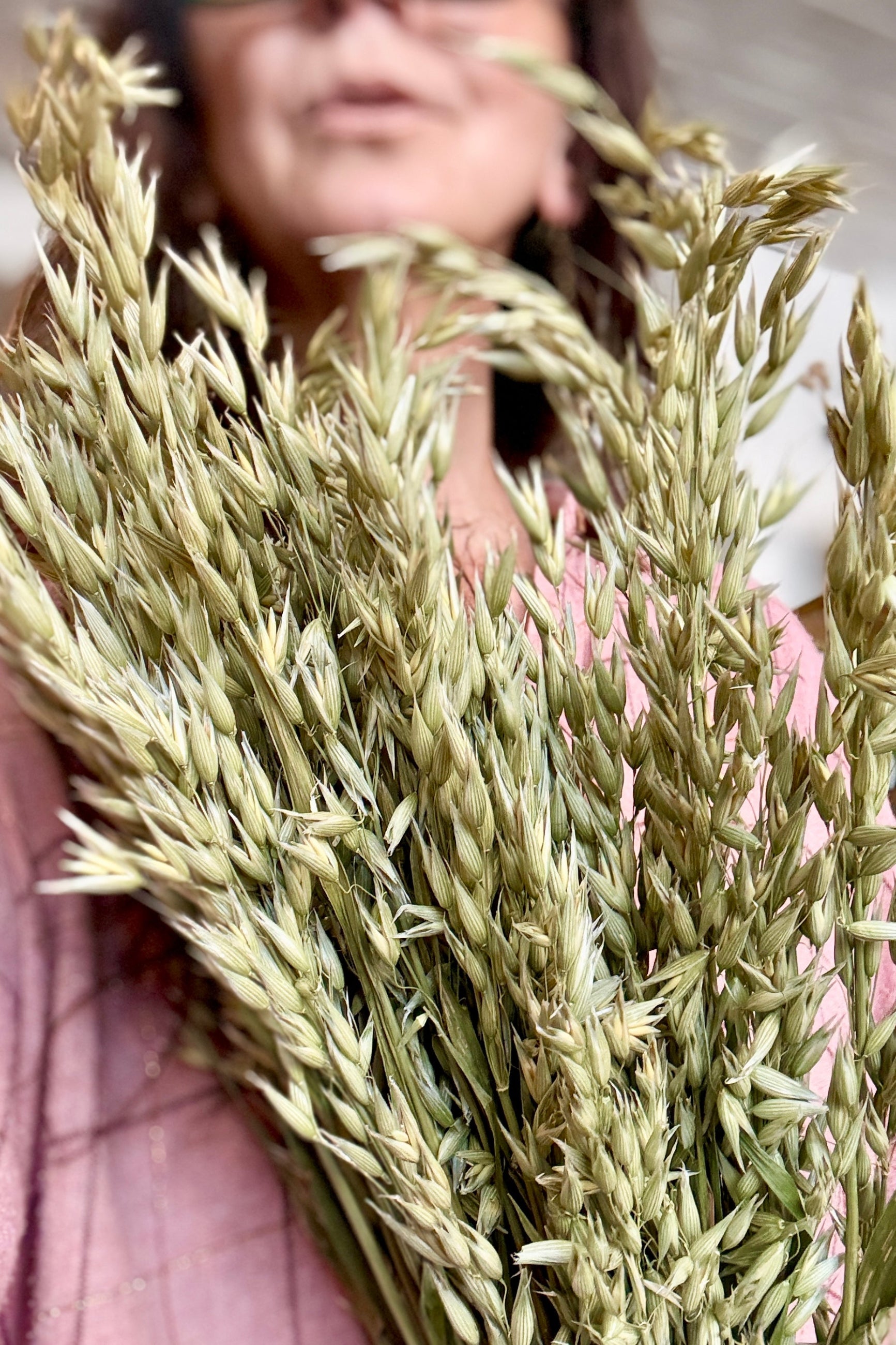 Person holding a bundle of dried Avena grasses with a blurred background ©Sprout Home
