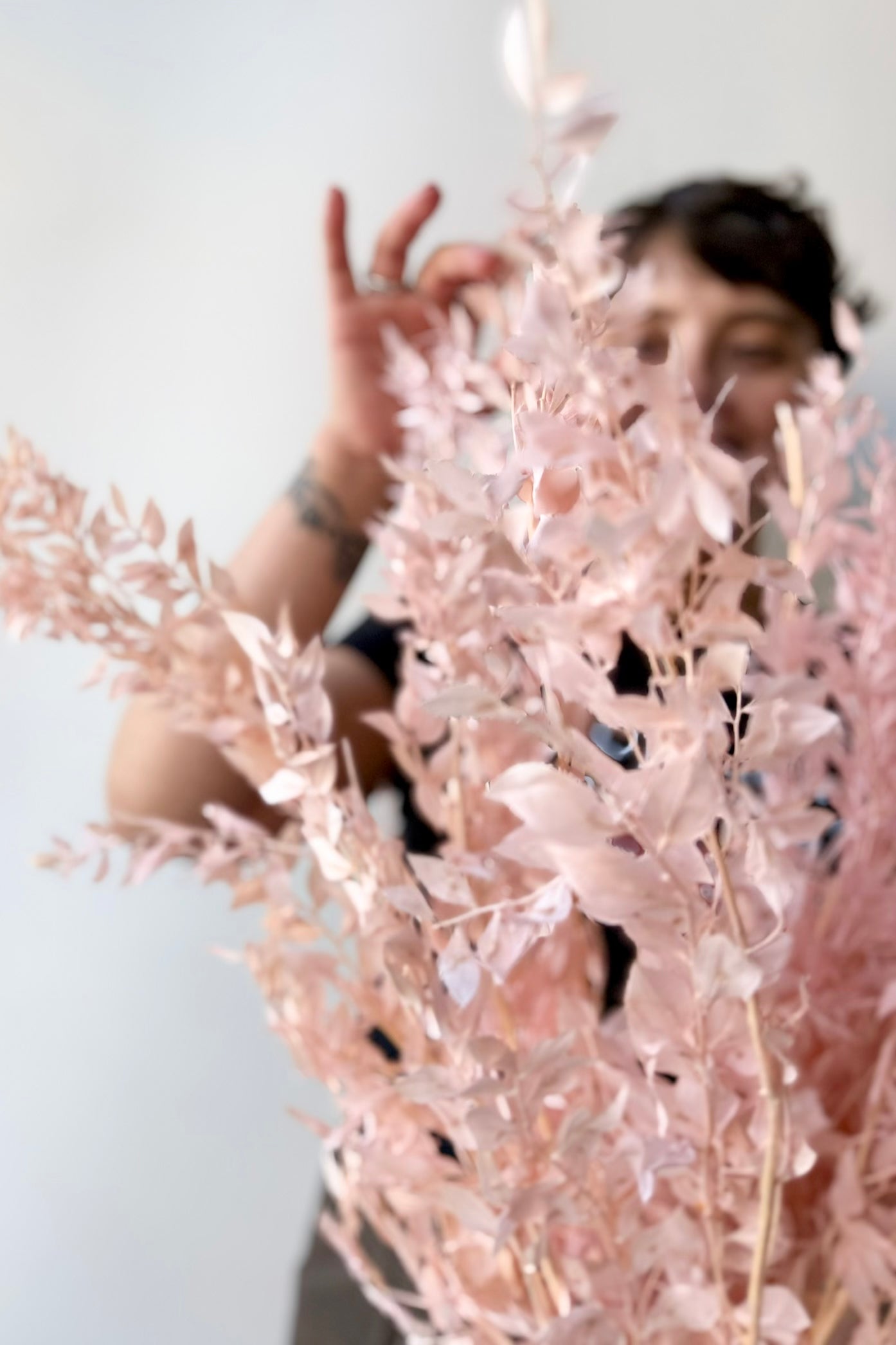 Person holding pink preserved Ruscus plants against a white background ©Sprout Home