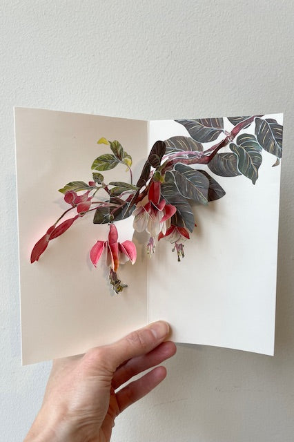 Hand holding open Fuchsia pop up card