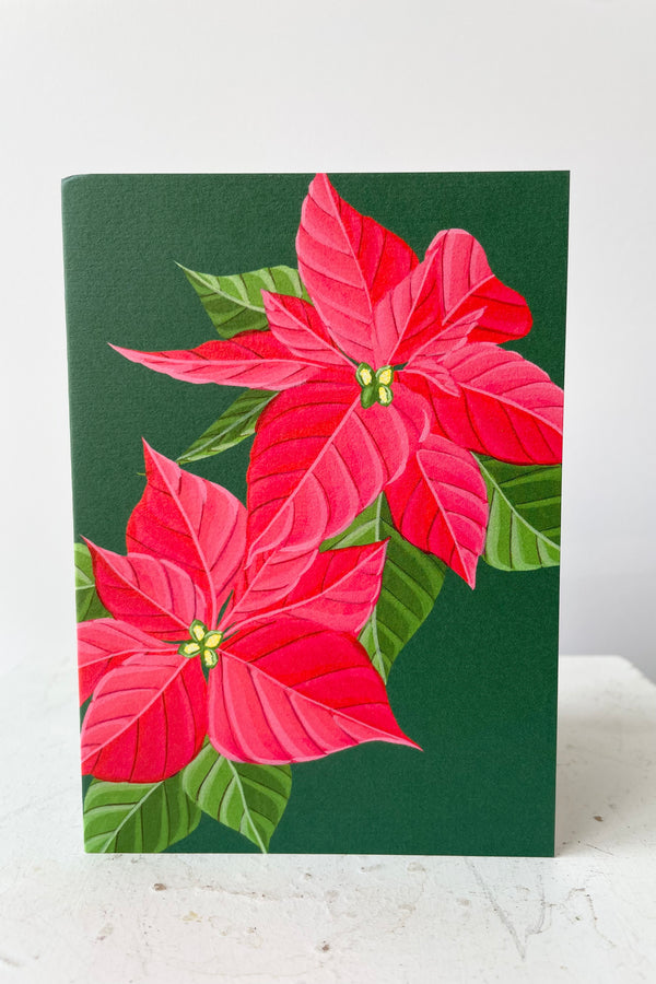 Red poinsettia flowers against green background. Blank inside