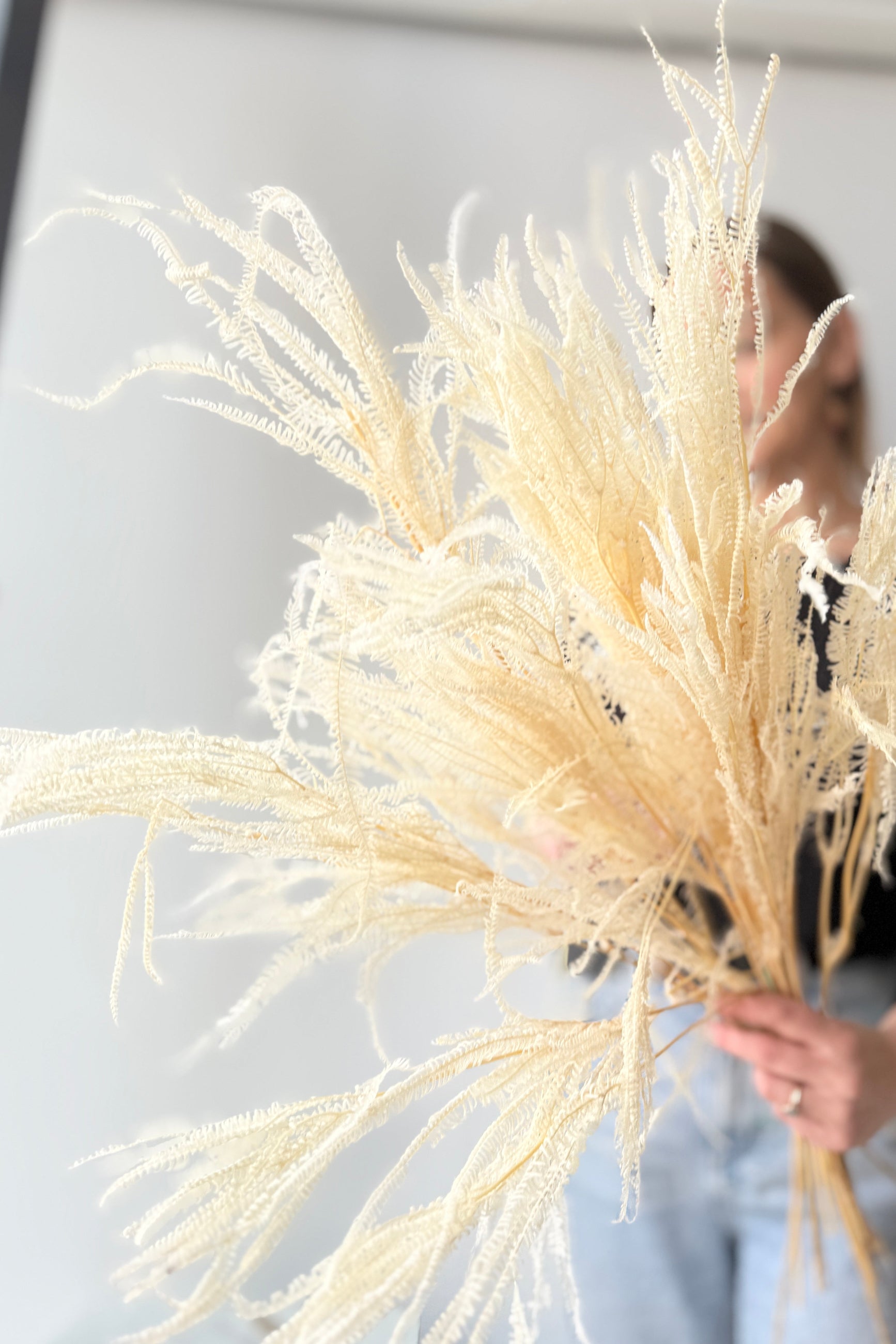 Person holding a large Helecho x3 Bleached Preserved Bunch against a neutral background ©Sprout Home