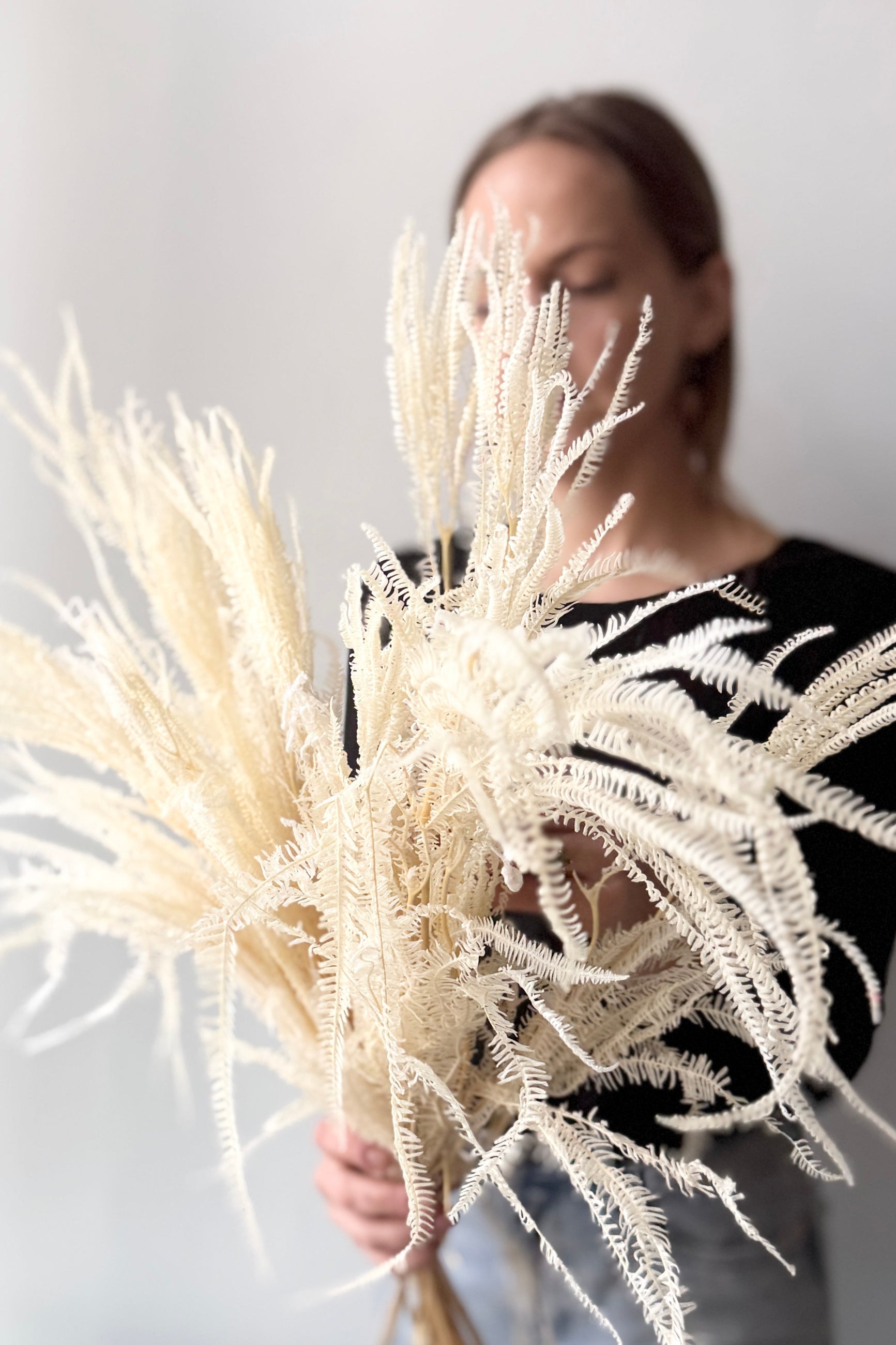 Person holding a Helecho x3 Bleached Preserved Bunch against a plain background ©Sprout Home