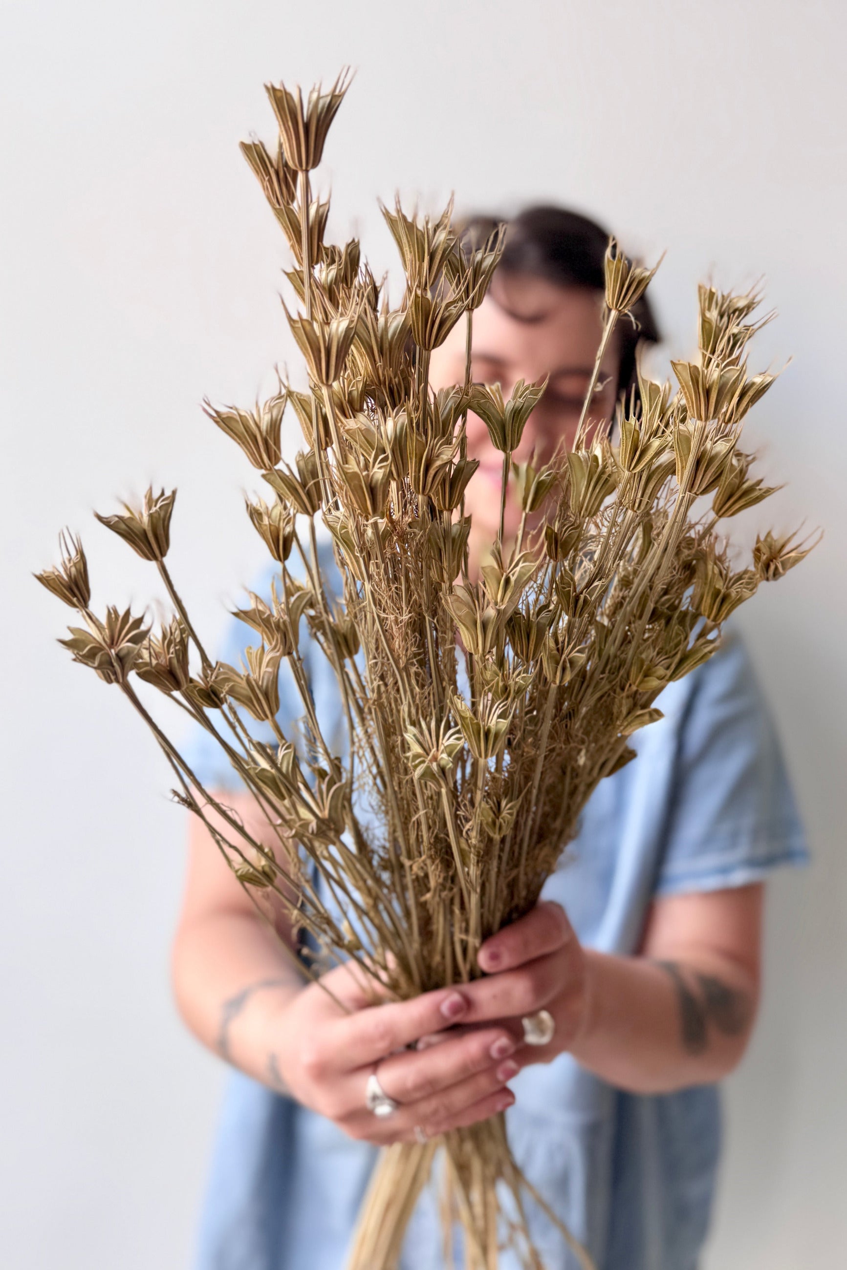 Person holding a Nigella Orientalis Natural Preserved Bunch against a plain background ©Sprout Home