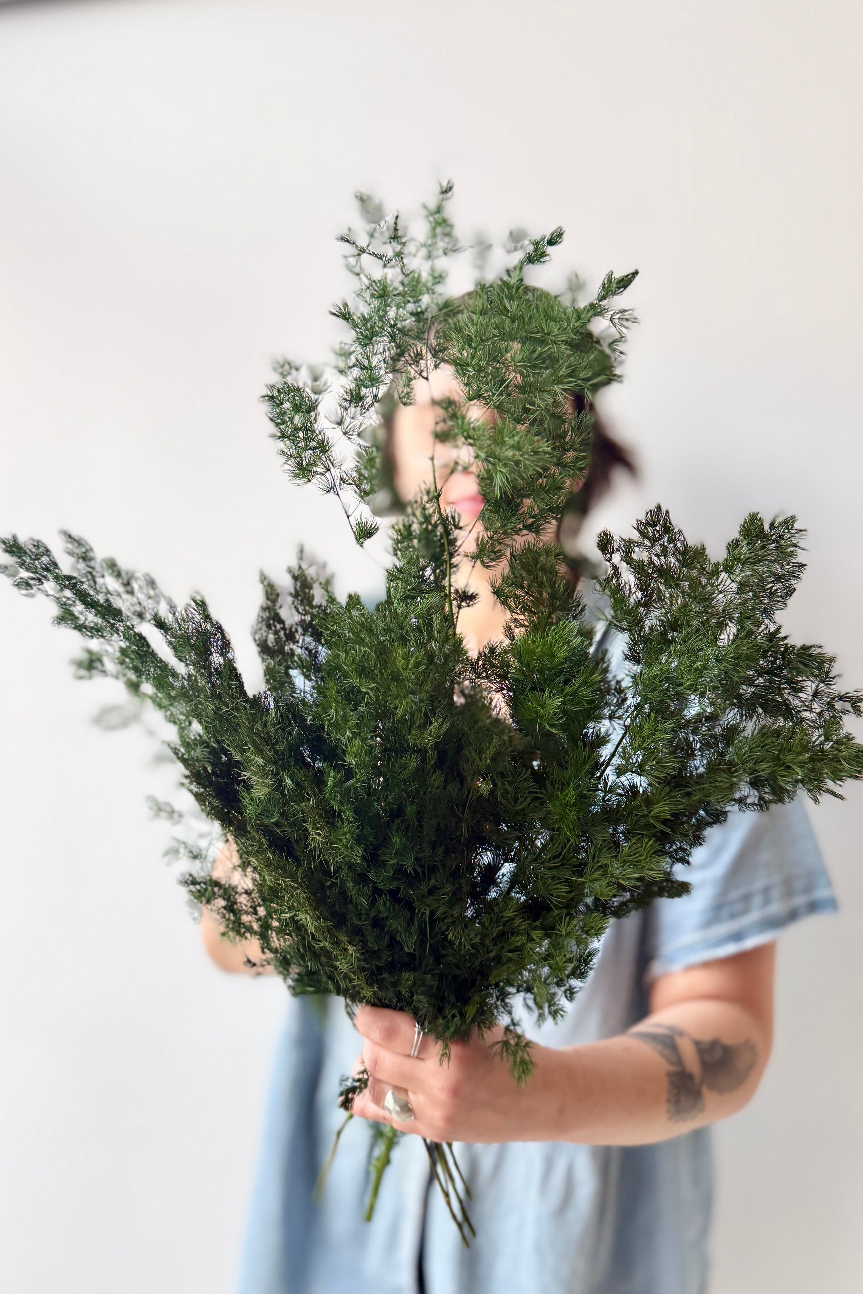 Person holding a bouquet of greenery against a plain background ©Sprout Home