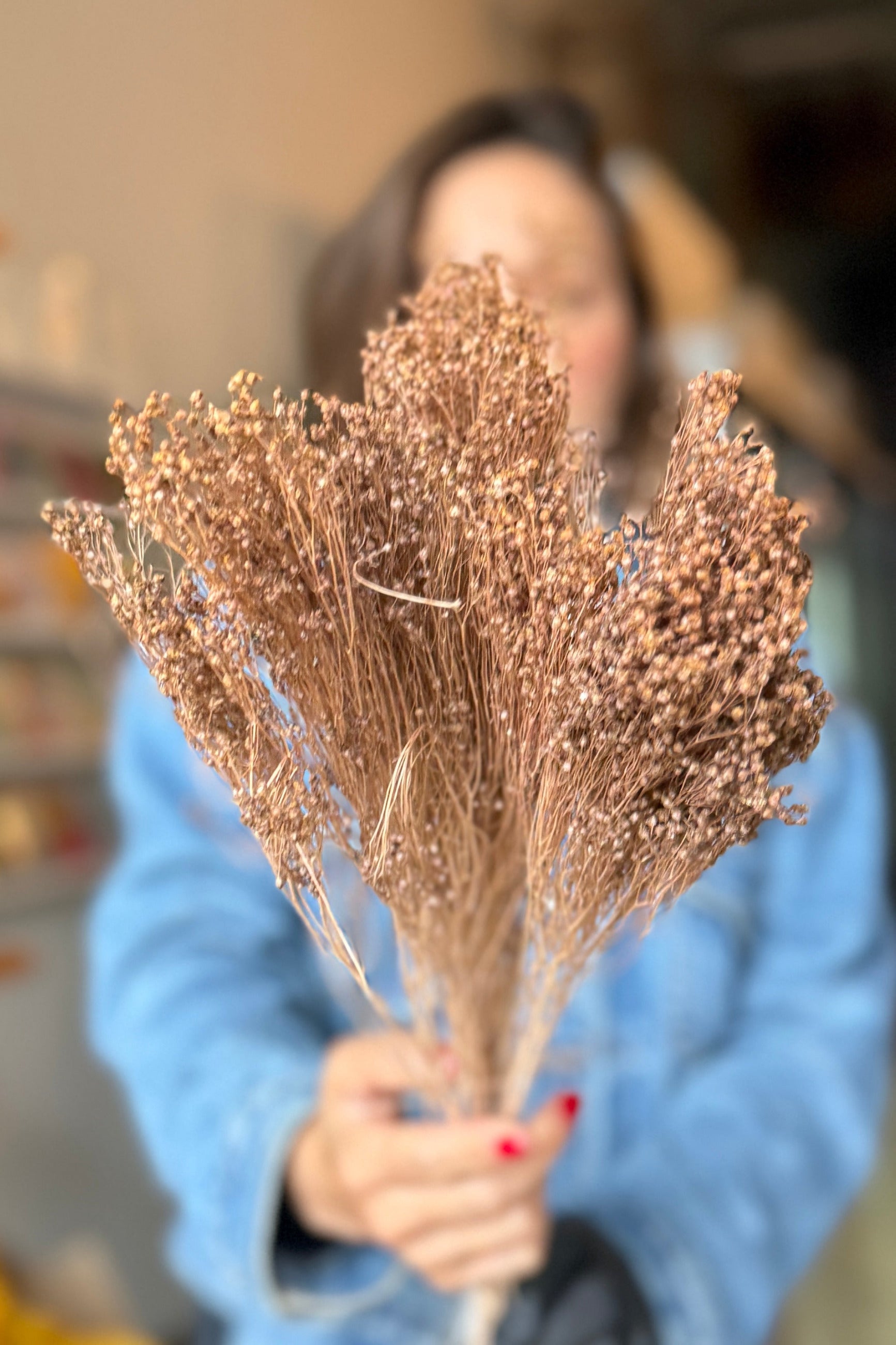 A person in a light blue denim jacket holds a Brooms Sepia Pastel Preserved Bunch flowers in front of their face, with a softly blurred indoor background. ©Sprout Home