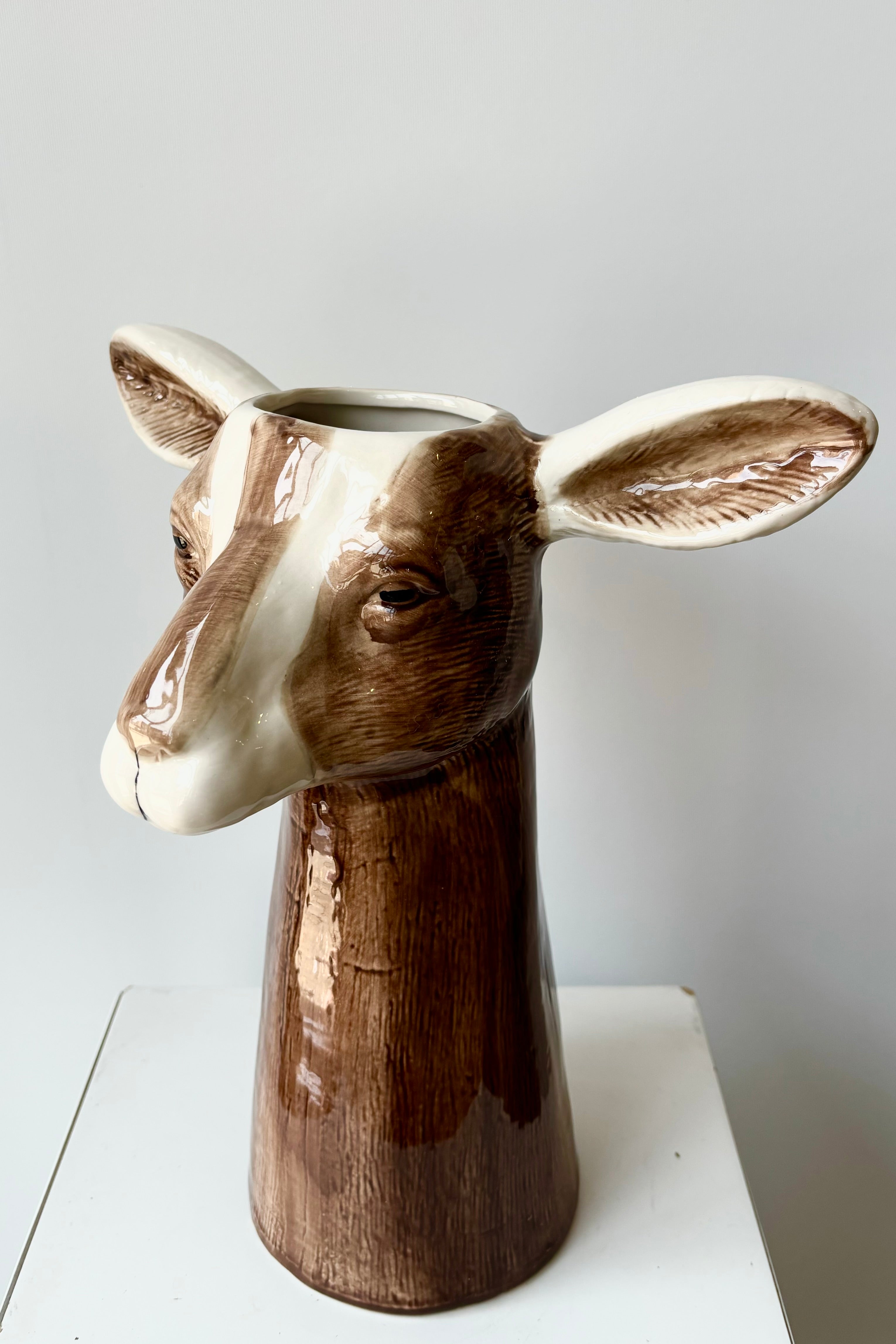 Top view of ceramic vase in the shape of a brown and white goat head against white background