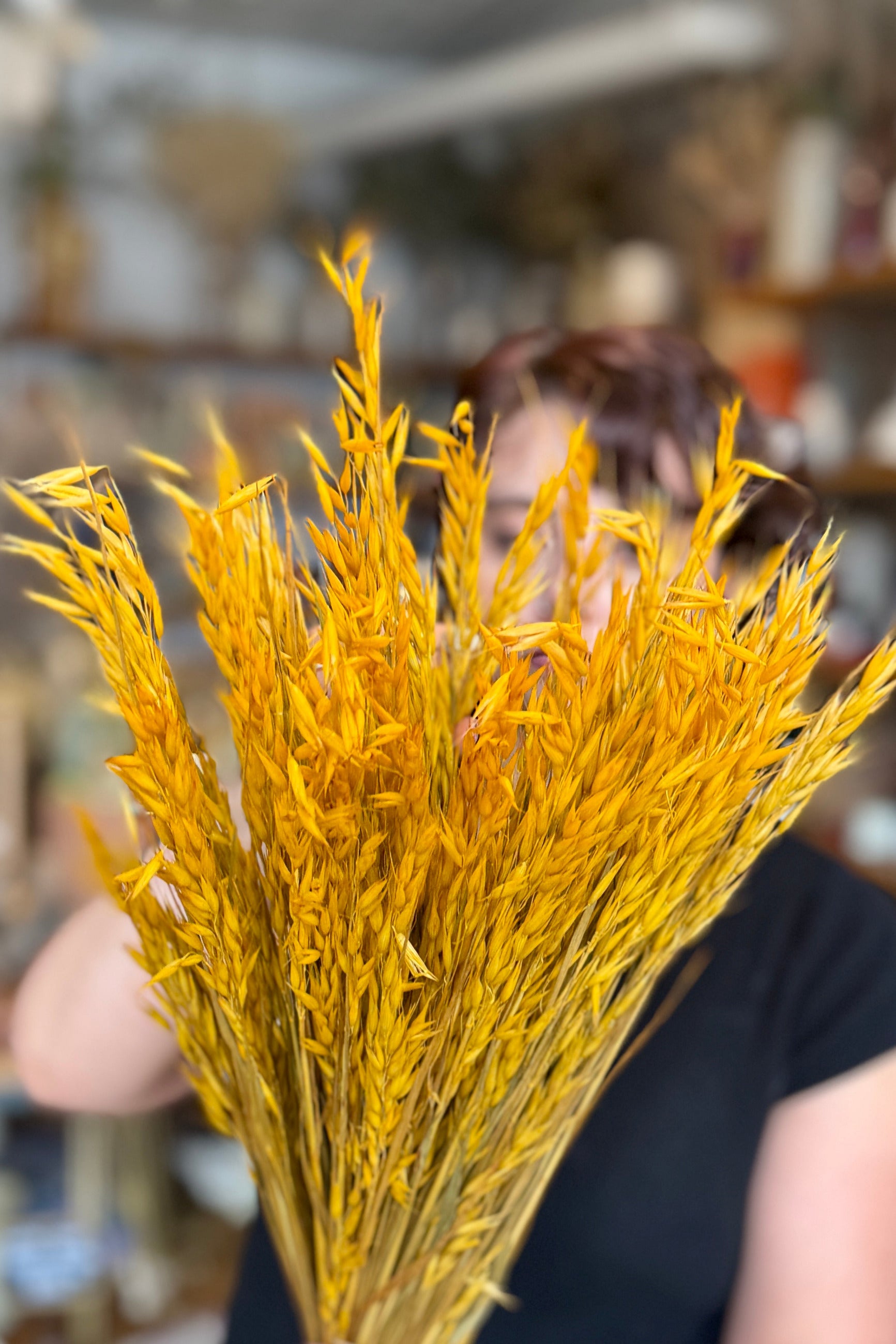 A person holding a large bundle Avena Sativa Ochre Color Preserved Bunch in a shop setting with a blurred background. ©Sprout Home