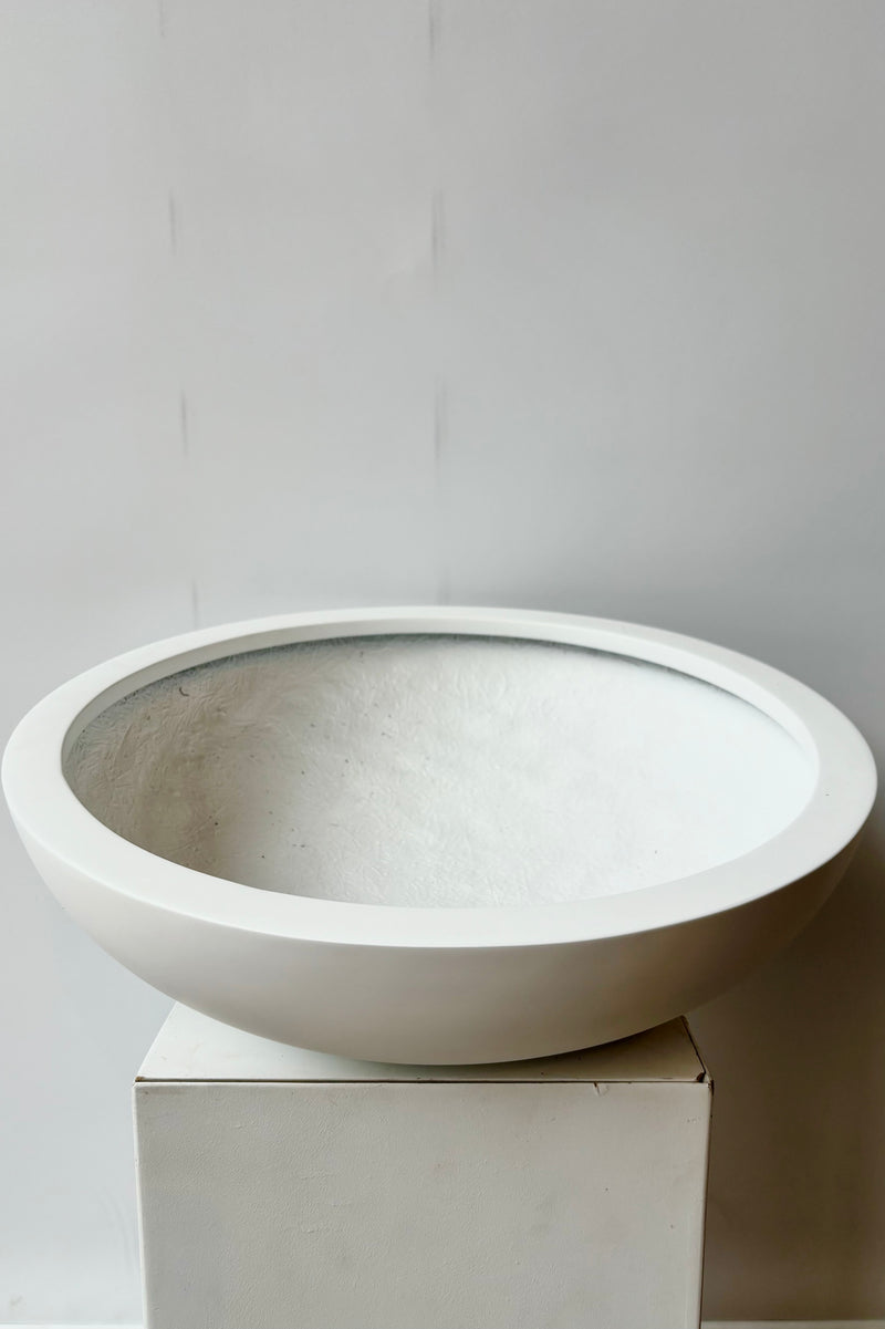 Top view of matte white, large, shallow bowl displayed against white background