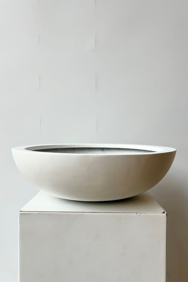 Side view of matte white, medium shallow bowl against white background