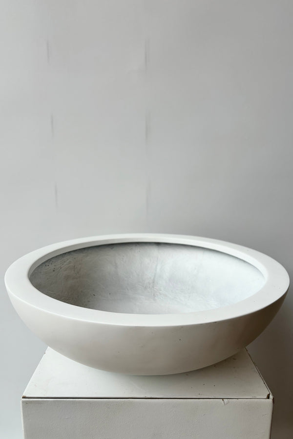 Overhead view of matte white, medium shallow bowl against white background