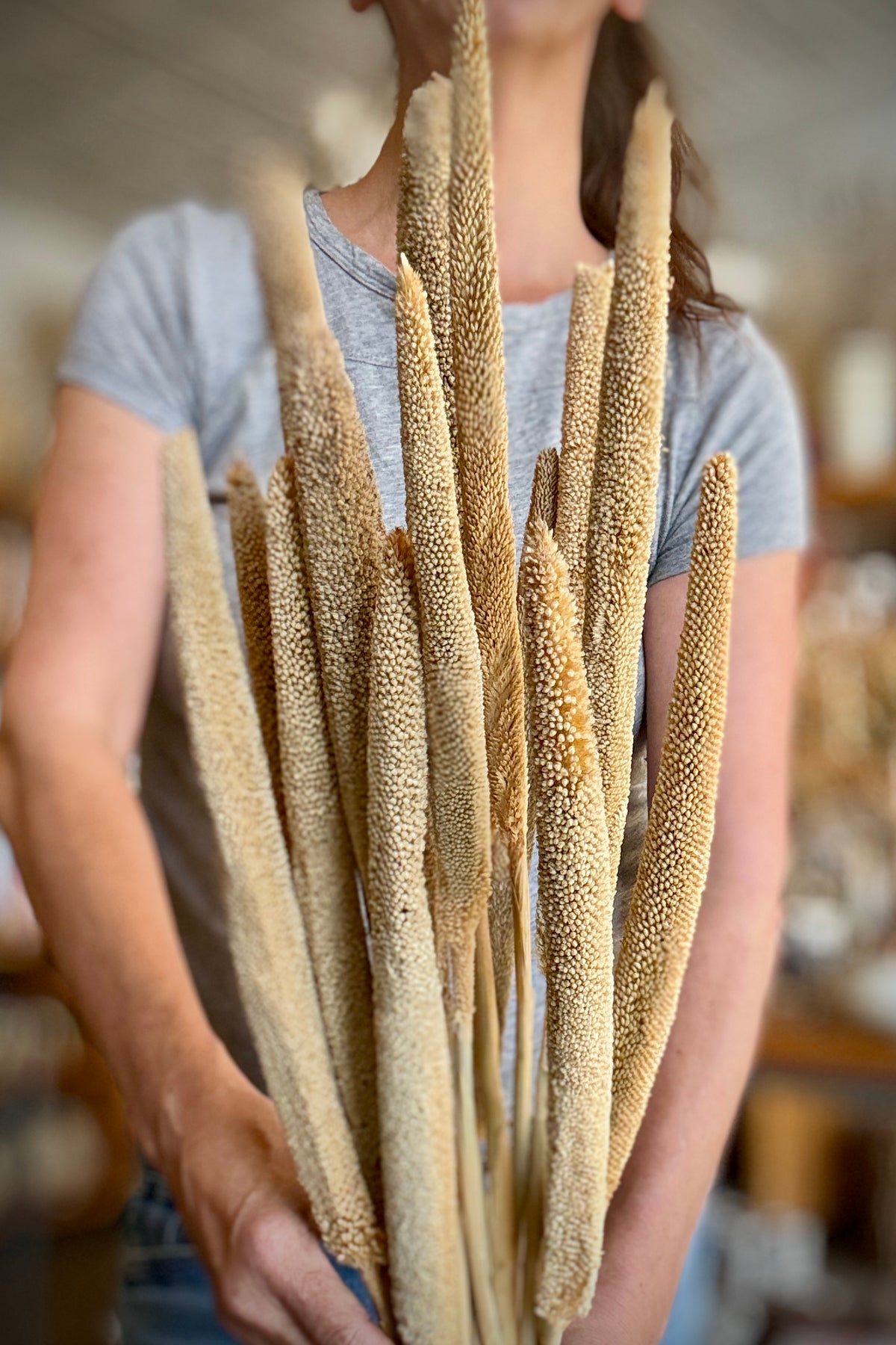 Babala Natural Color Preserved Bunch up close with someone holding the bunch ©Sprout Home