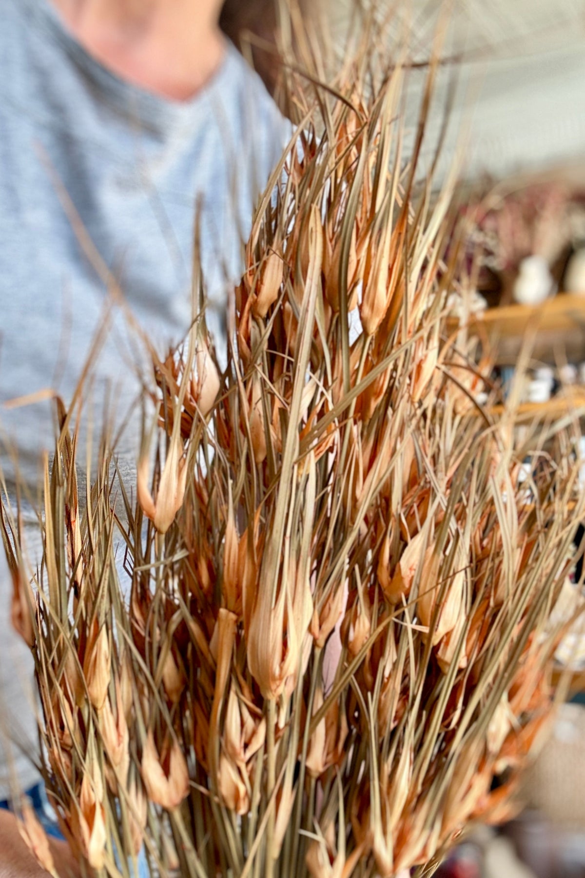 Capin Stella Peach Color Preserved Bunch being held in hand and held close to the camera ©Sprout Home