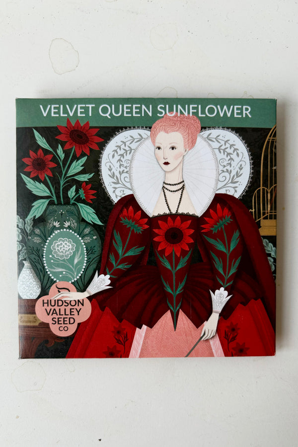 Seed pack for Velvet Queen Sunflower with a picture of a woman wearing a red dress seated next to a vase of red sunflowers with the Hudson Valley Logo in the botom left corner against a white background