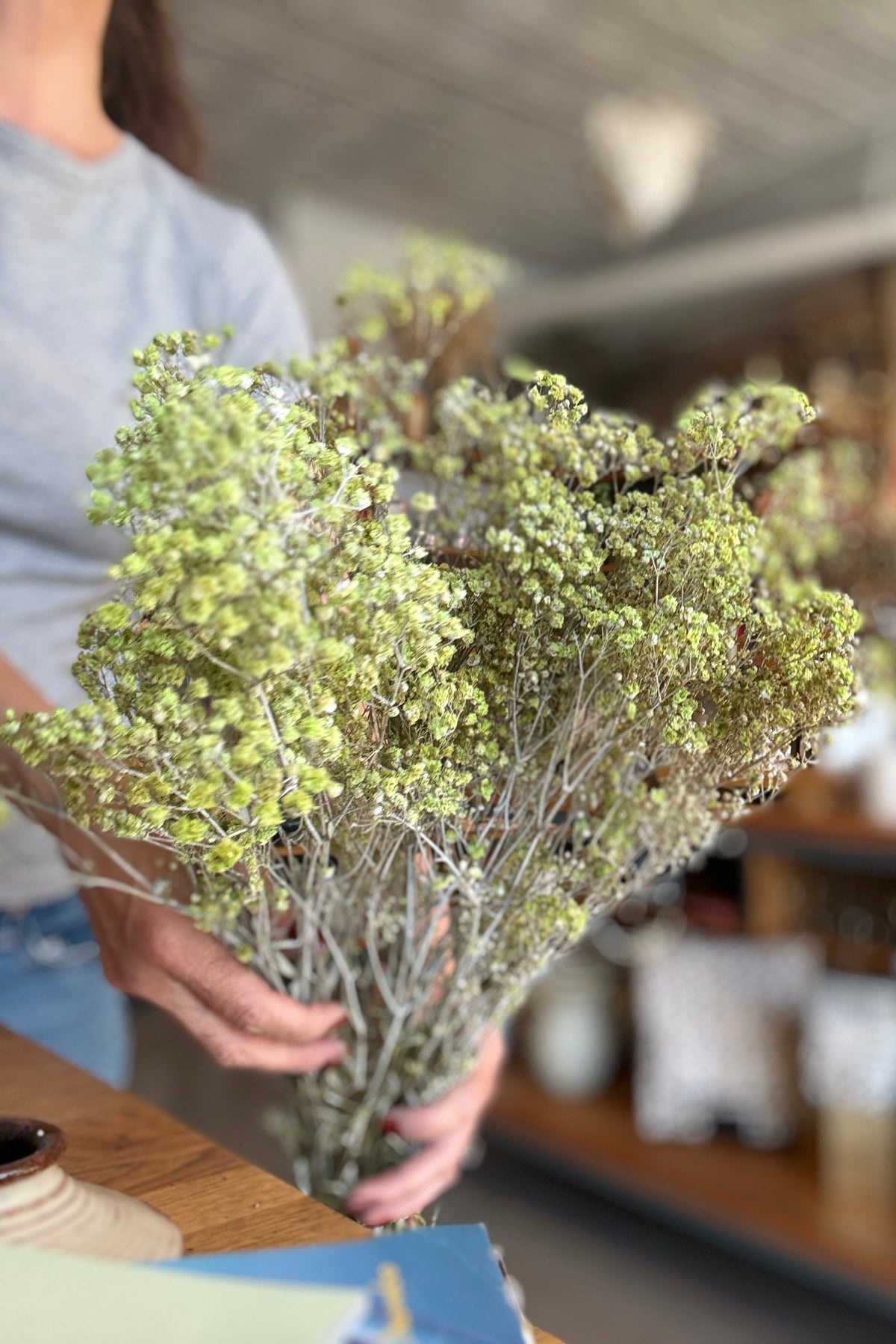 Gypsophila Paniculata Dusty Light Green Color Preserved Bunch being held in hand with a blurred background ©Sprout Home