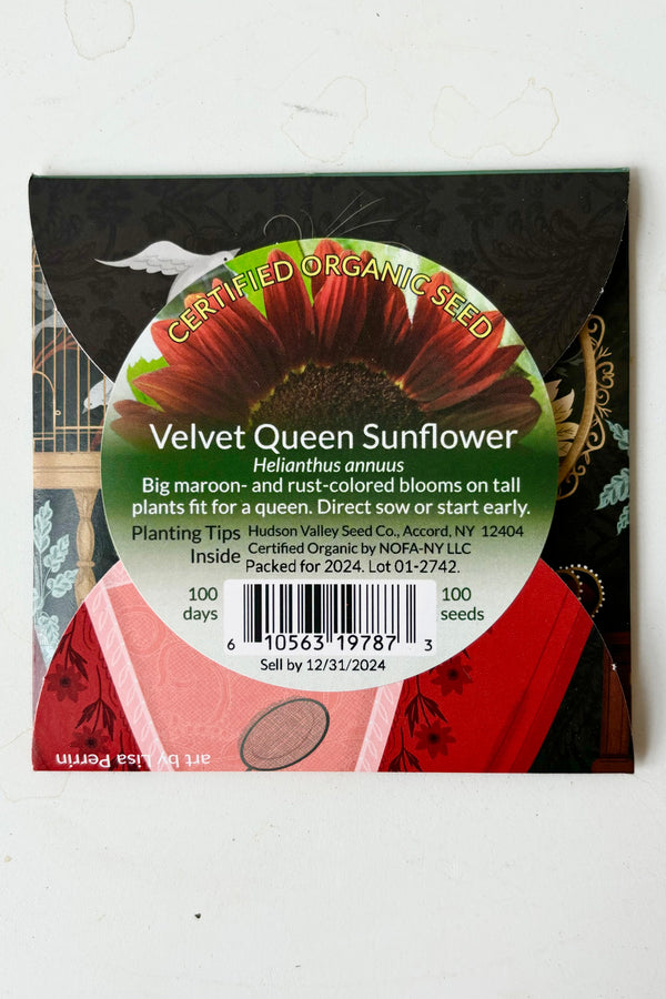 Back side of the Velvet Queen Sunflower seed pack with a sticker that says certified organic seed and growing instructions against a white background