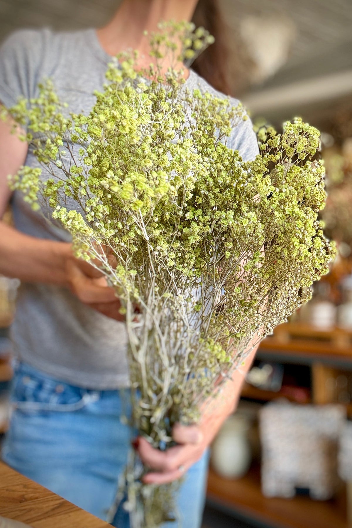 Gypsophila Paniculata Dusty Light Green Color Preserved Bunch being held in hand with a blurred store background ©Sprout Home