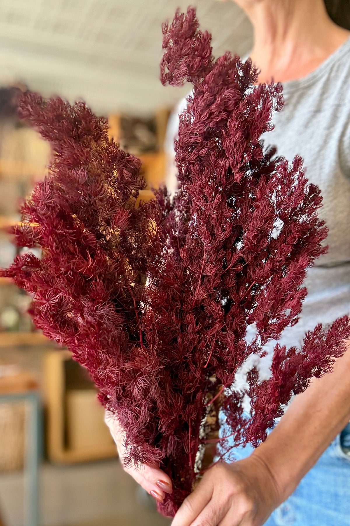 Asparagus Ming Burgundy Color Preserved Bunch being held In hand with a blurred background ©Sprout Home