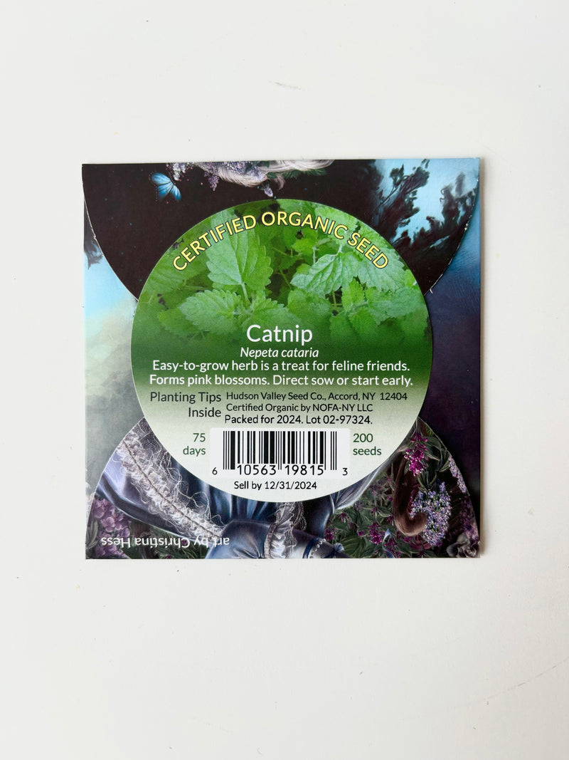 Backside of the Catnip seed pack with a picture of the herb and text that says certified organic seed against white background