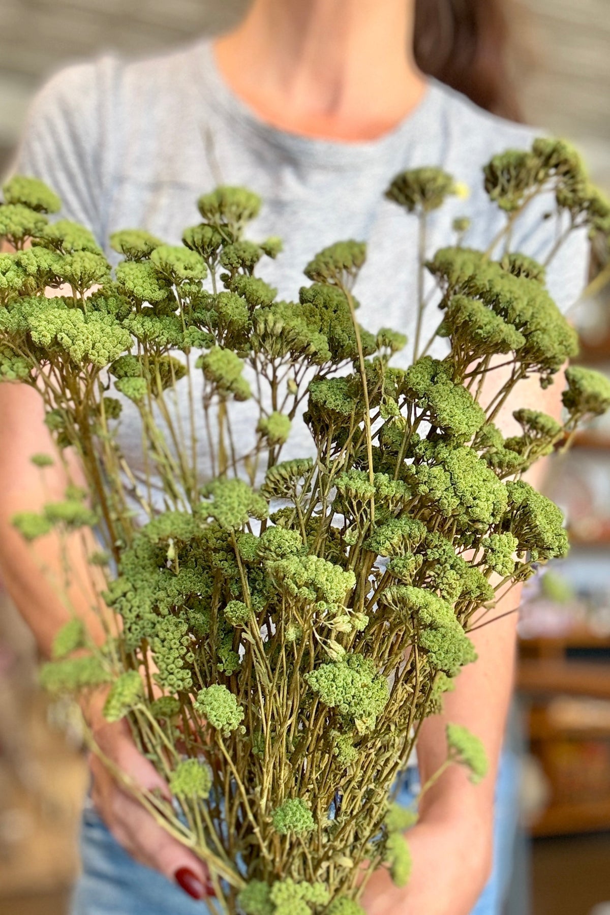 Achillea Silvestre Olive Color Preserved Bunch up close and held in hand ©Sprout Home