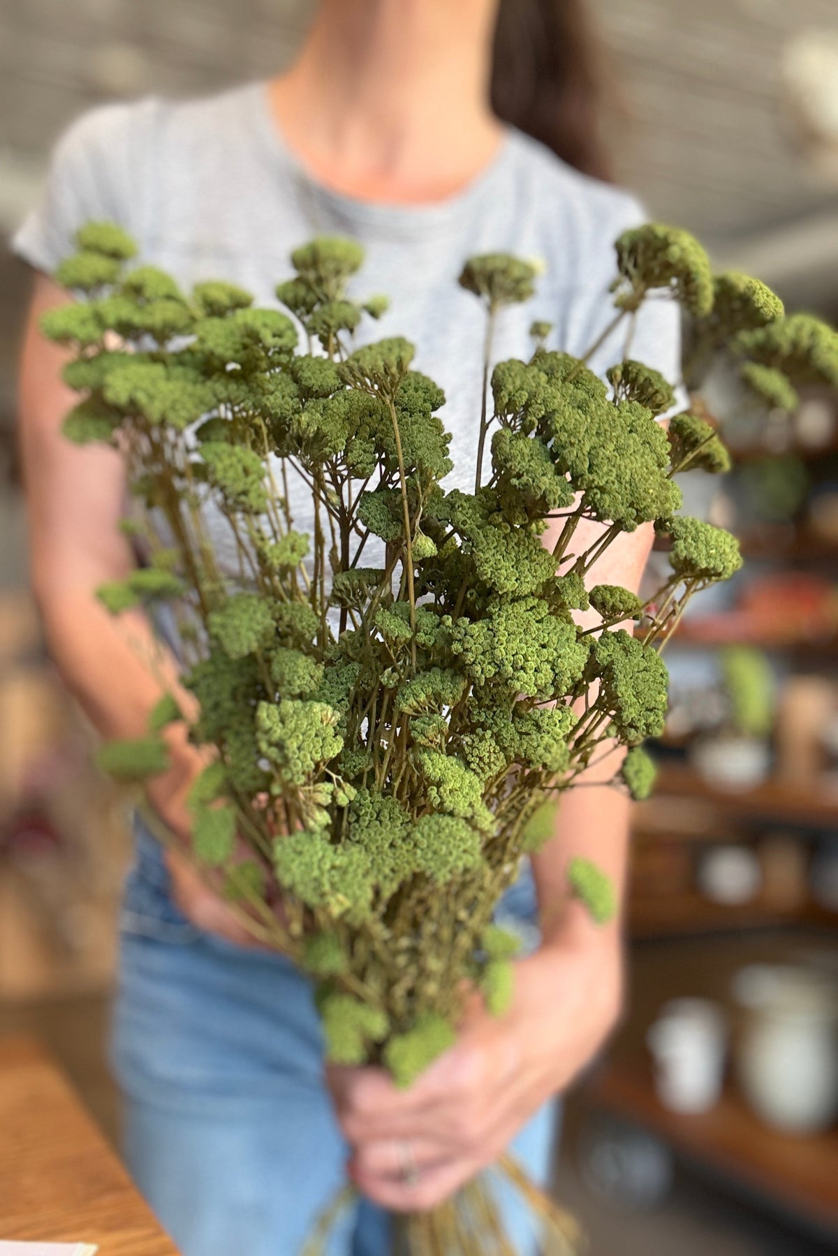 Achillea Silvestre Olive Color Preserved Bunch being held in hand at Sprout Home Floral ©Sprout Home