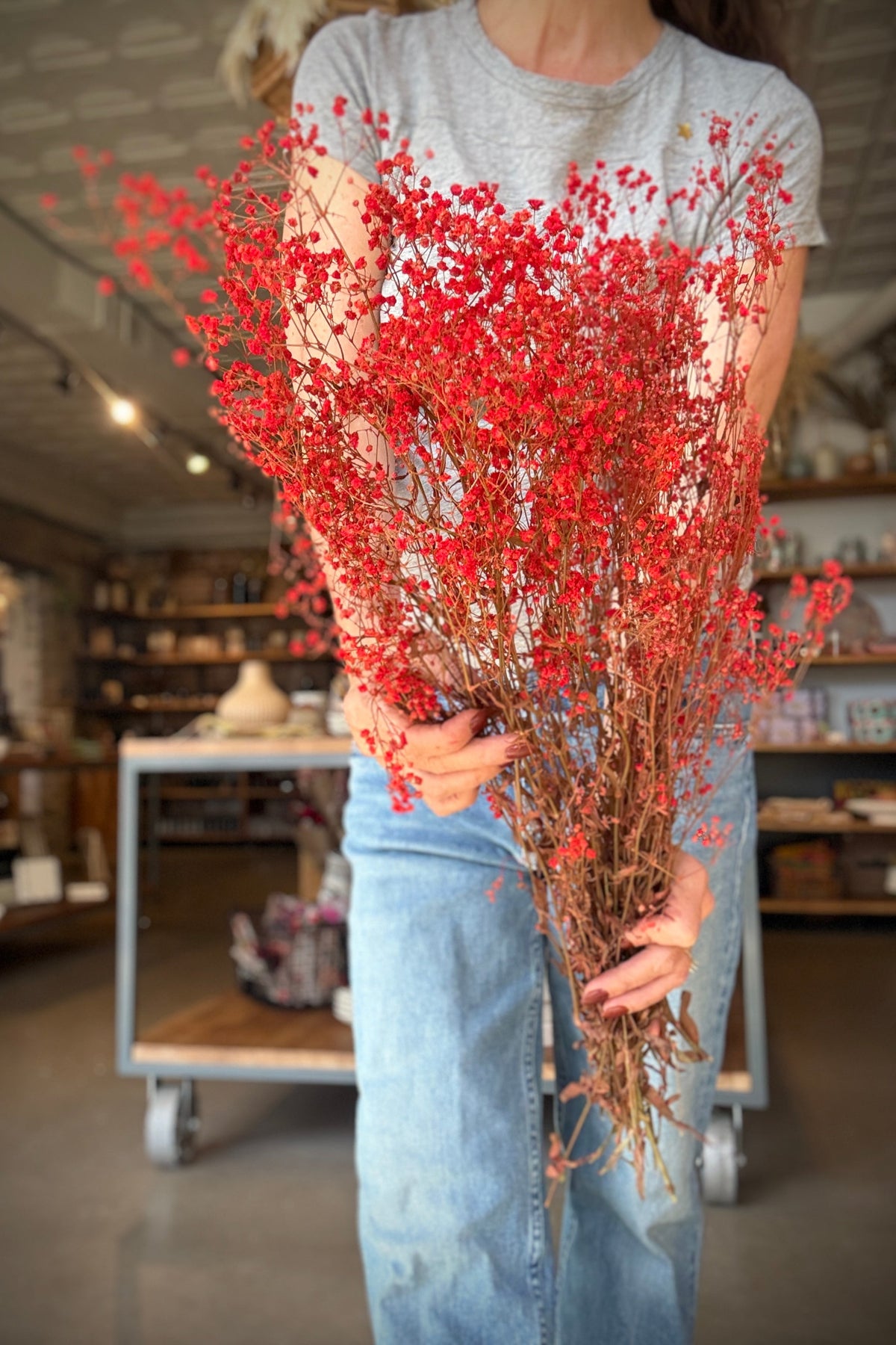 Gypsophila Paniculata Red Color Preserved Bunch being held in hand ©Sprout Home