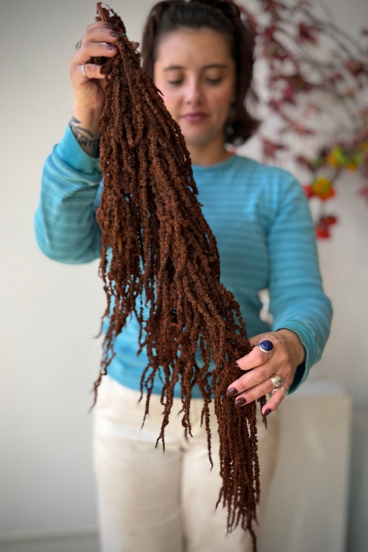 Amaranthus Mocha Color Preserved Bunch being held by a person in a blue shirt ©Sprout Home