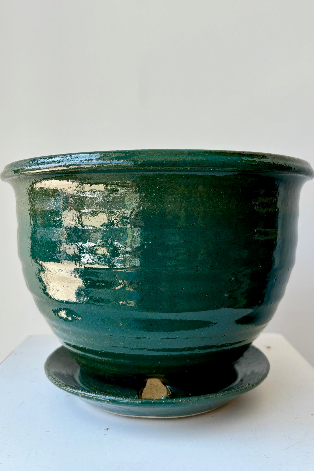 Six inch clay planter with drainage hole and attached tray in a jade green glaze flecked with silver specks against a white background