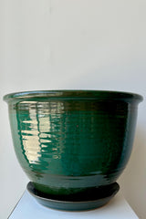 Ten inch clay planter with drainage hole and attached tray in a jade green glaze flecked with silver specks against a white background