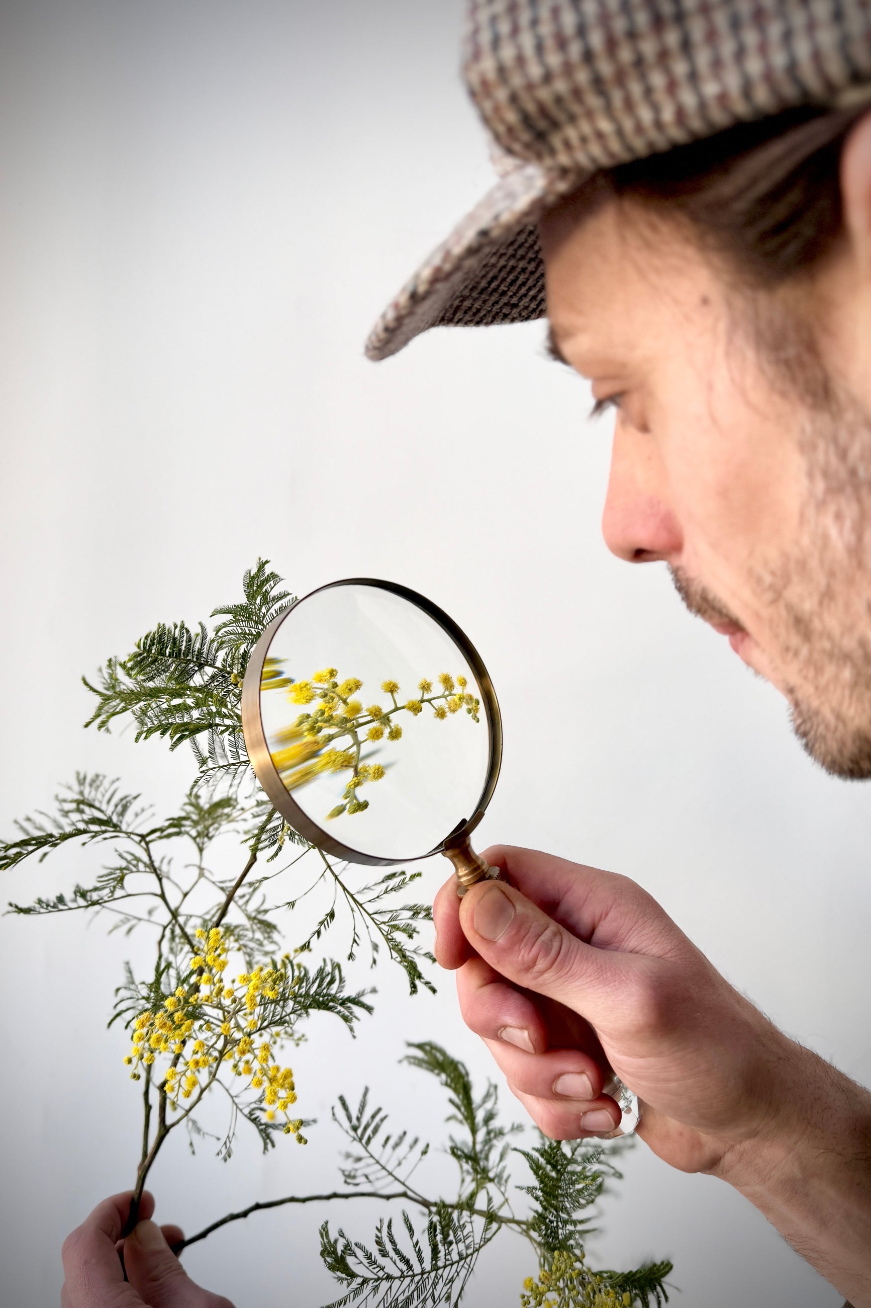 Person examining yellow flowers through a magnifying glass against a white background ©Sprout Home