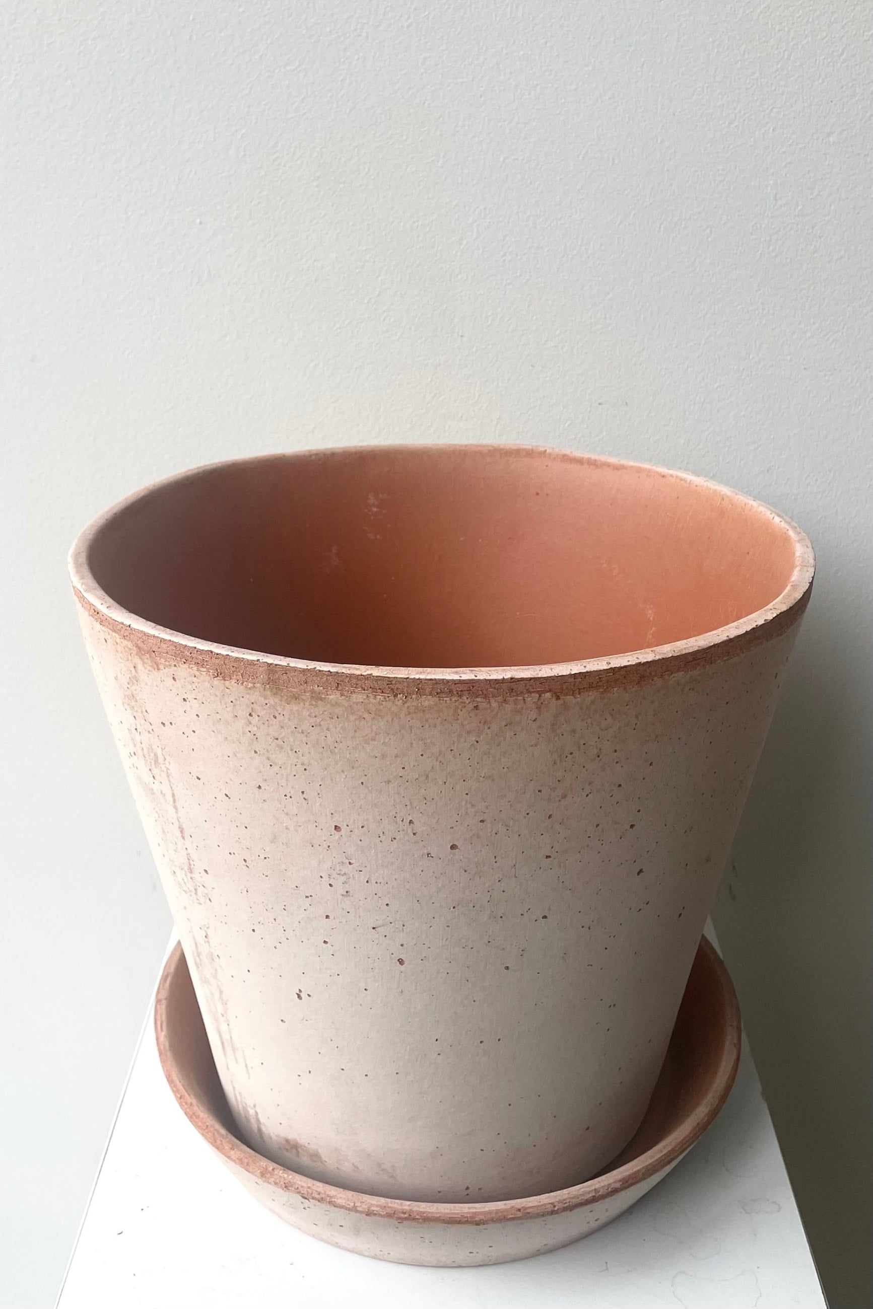 A slightly overhead view of Julie Pot & Saucer rosa 9.8" against white backdrop ©Sprout Home