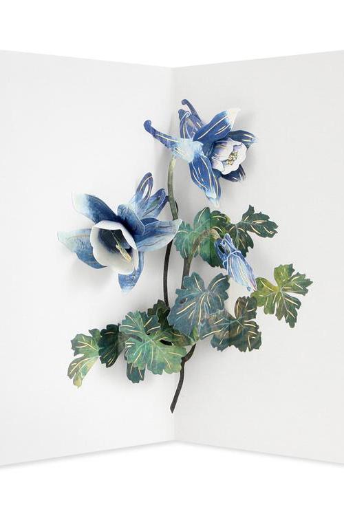 Columbine Popup Card by Up with Paper open and showing the blue flower on the inside