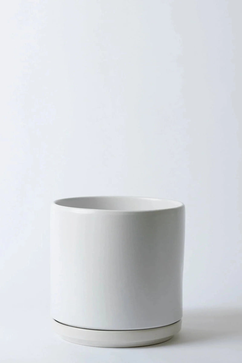 LBE Design Solid Goods Cylinder Planter and Saucer white empty