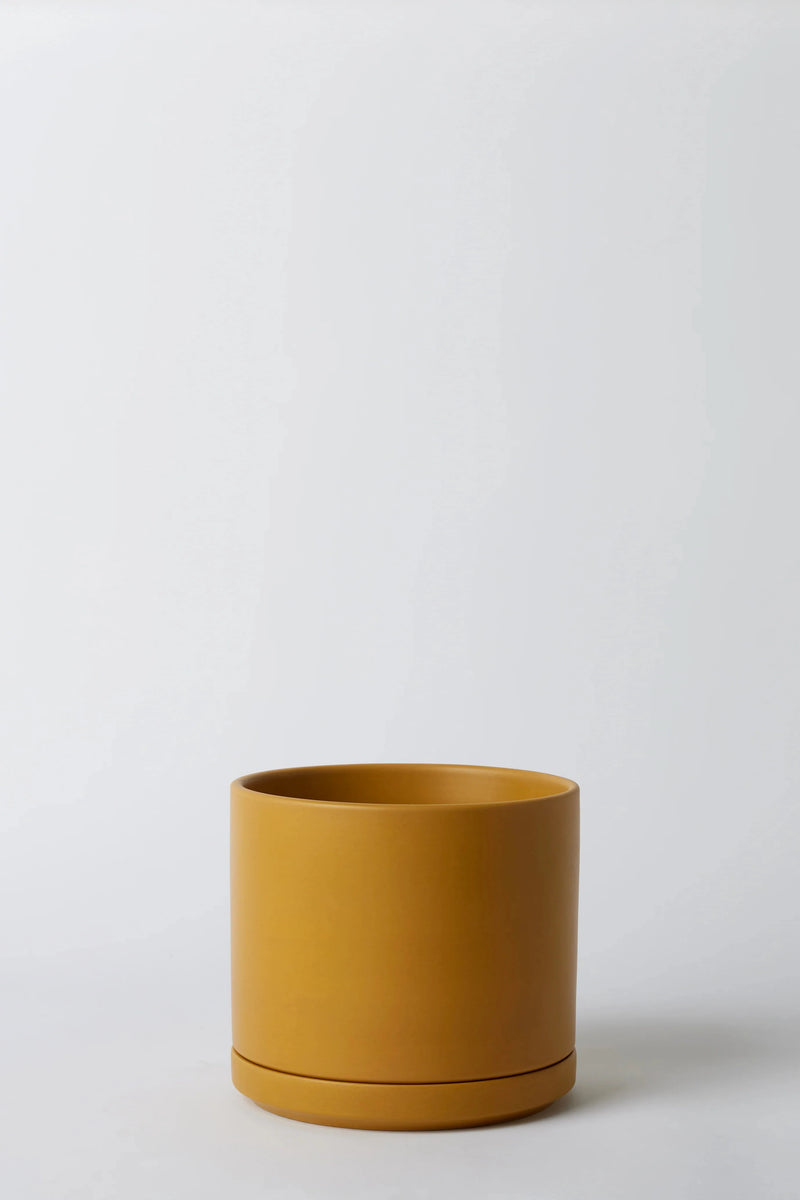 LBE Design Solid Goods Cylinder and saucer in Mustard empty