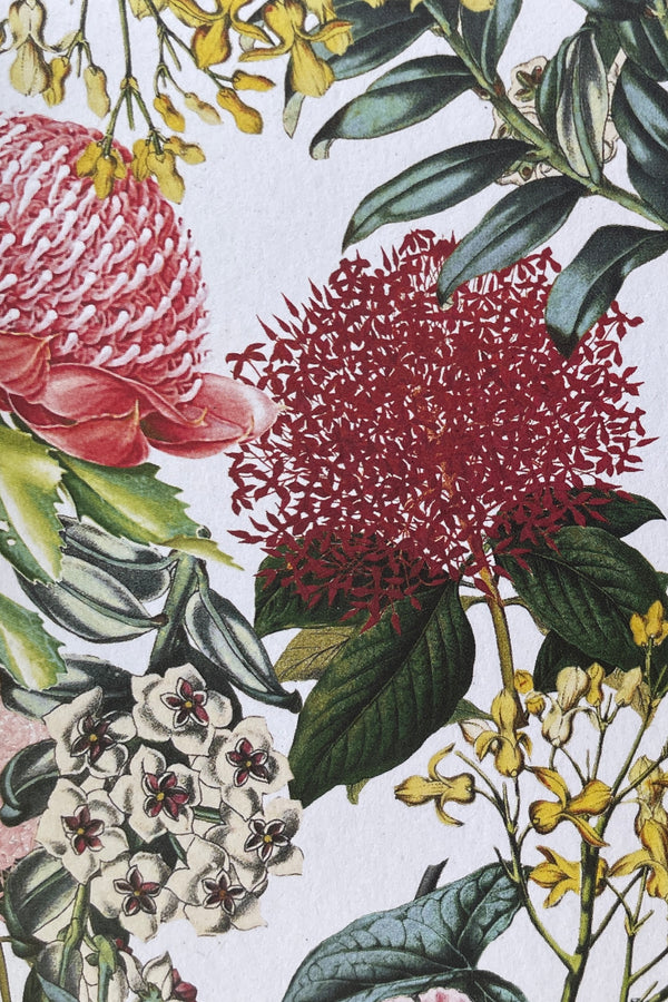 A detail image of the AHD Botanical Card