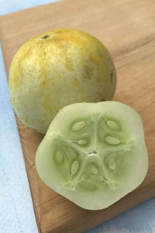 Lemon Cucumber plant one whole and one sliced on a wood board by Hudson Valley Seed Company