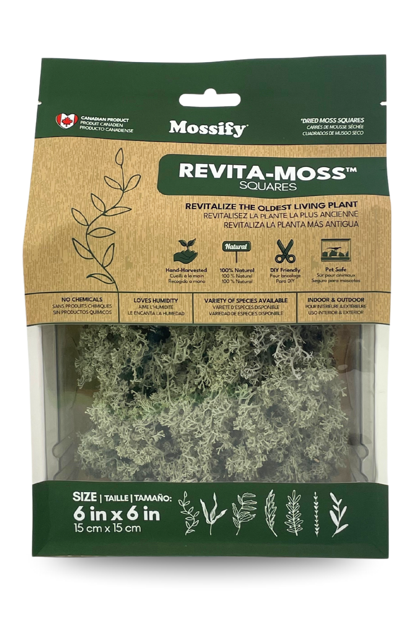 Photo of Revita-Moss Lichen Moss Cladonia rangiferina in its retail packaging ©Sprout Home