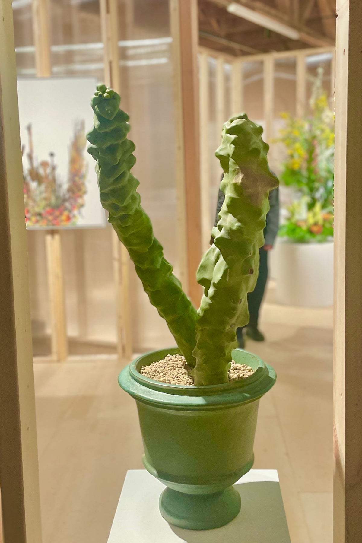A Lophocereus cactus in a green urn in a wooden roomd as an installation view  of VERDE at Secrist Beach SATELLITE ©Sprout Home