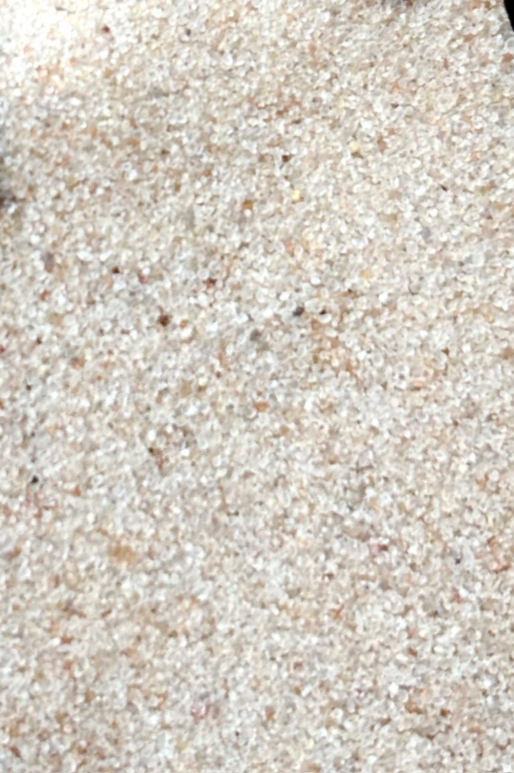 Close up of Mosser Lee white sand in bag ©Sprout Home