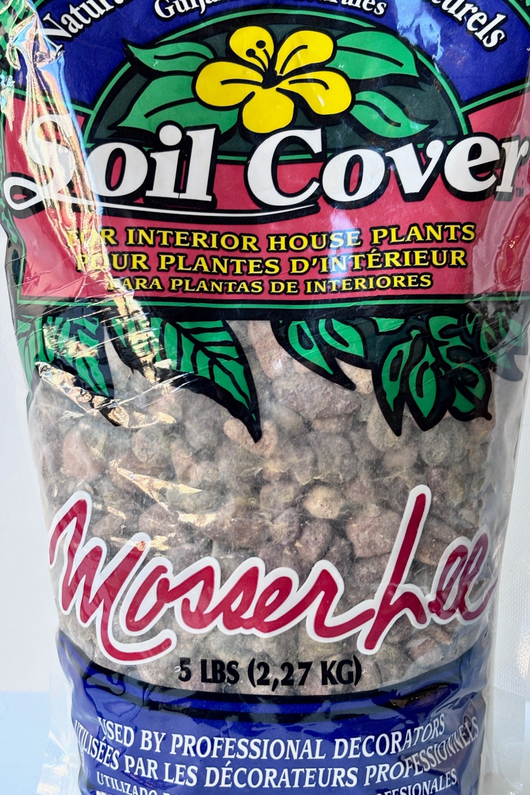 Close up of large natural color pebbles for topping on soil or terrariums against a white wall ©Sprout Home 