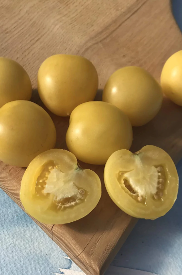 Mandurang Moon tomatoes, some whole and some sliced by Hudson Valley Seed Company