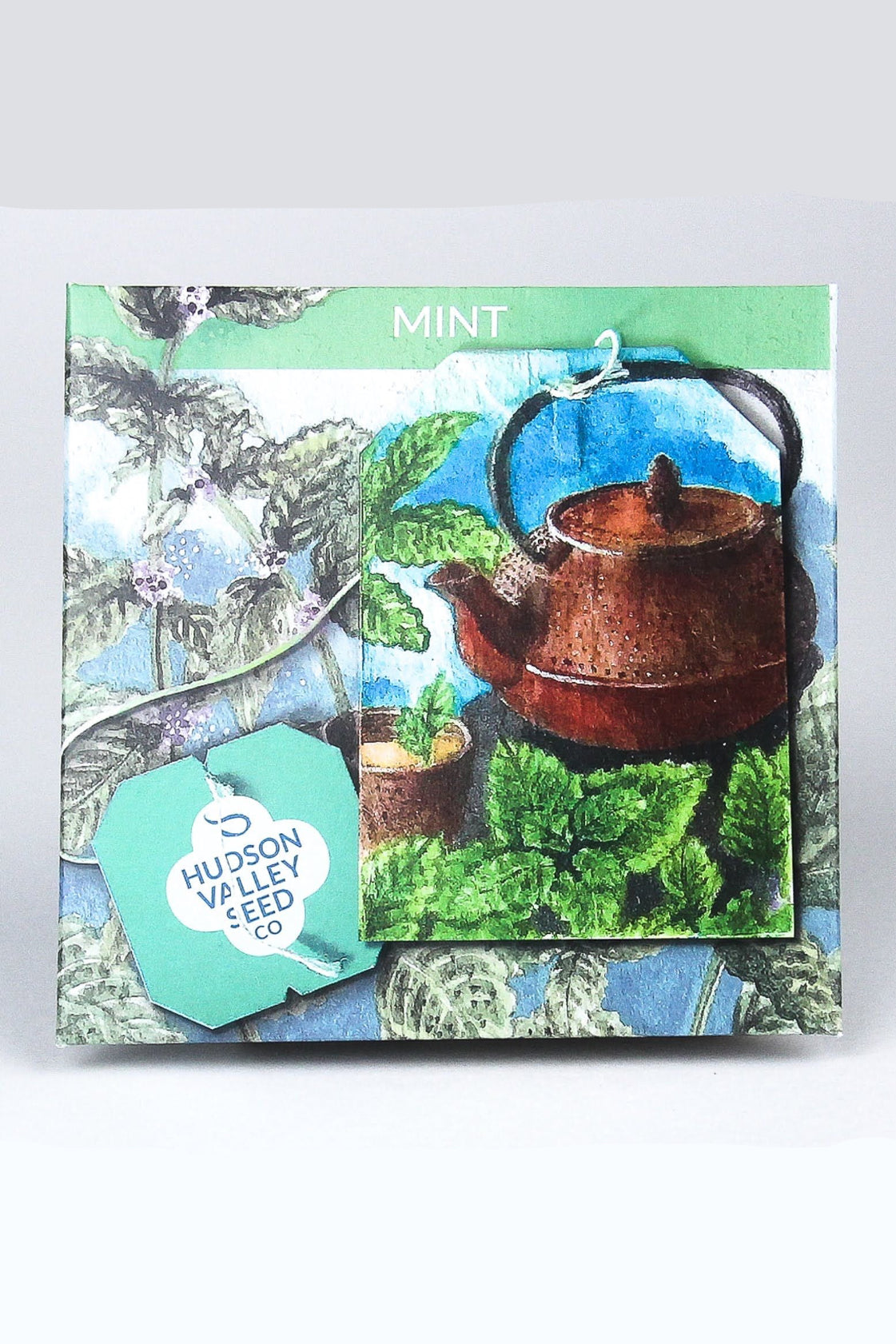 Hudson Valley Seed Co. mint seed packet with teapot illustration on a white background ©Hudson Valley Seed Co.