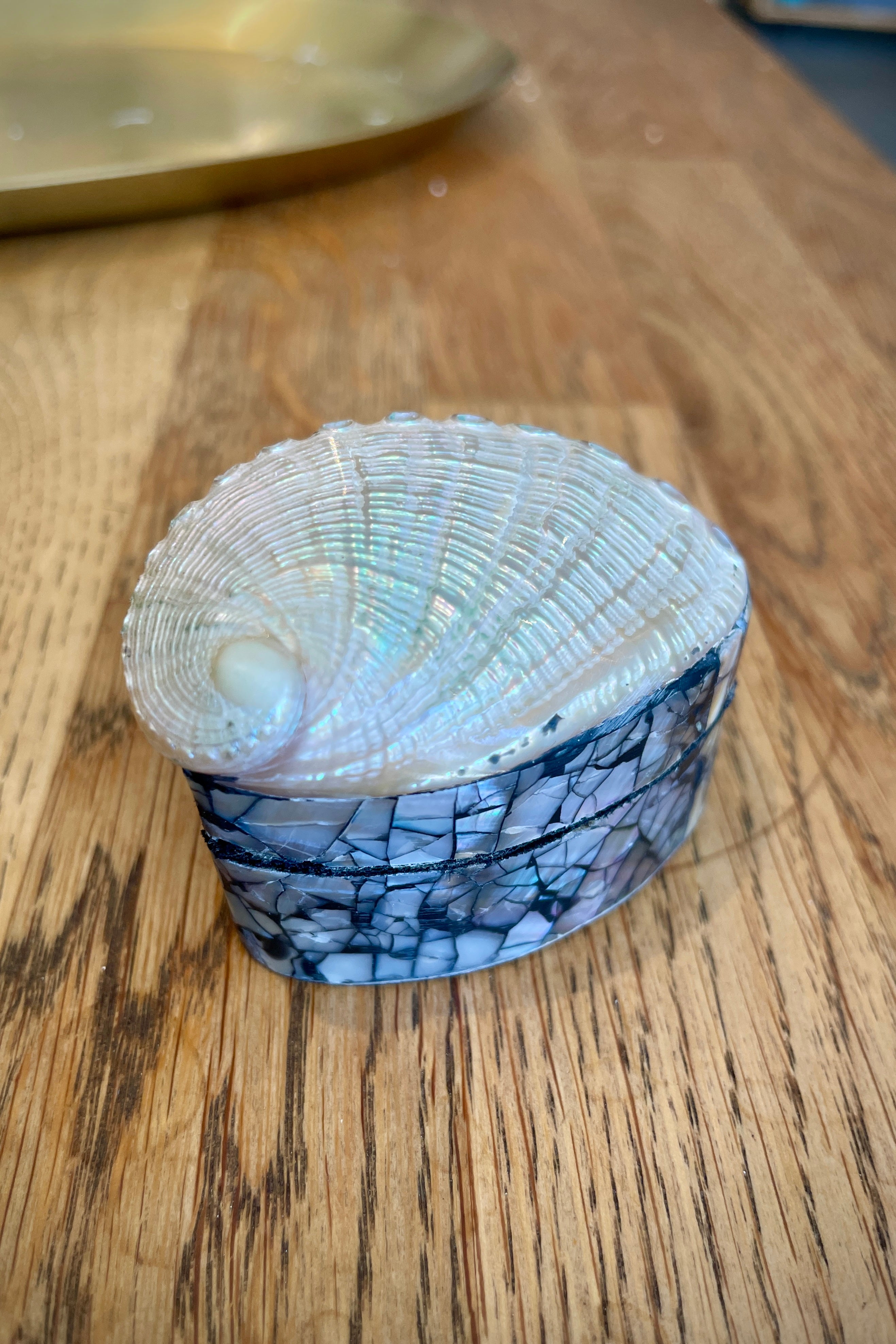 Small shell trinket box sitting on a wood table closed at Sprout Home. 