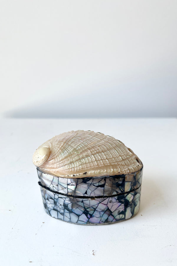 The small Trinket Box shown from the side against a white wall with the shell on the top cover. 