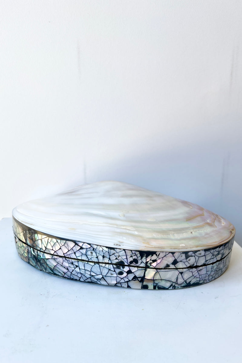 The Large Shell trinket box at Sprout Home bing shown from the top and side against white.