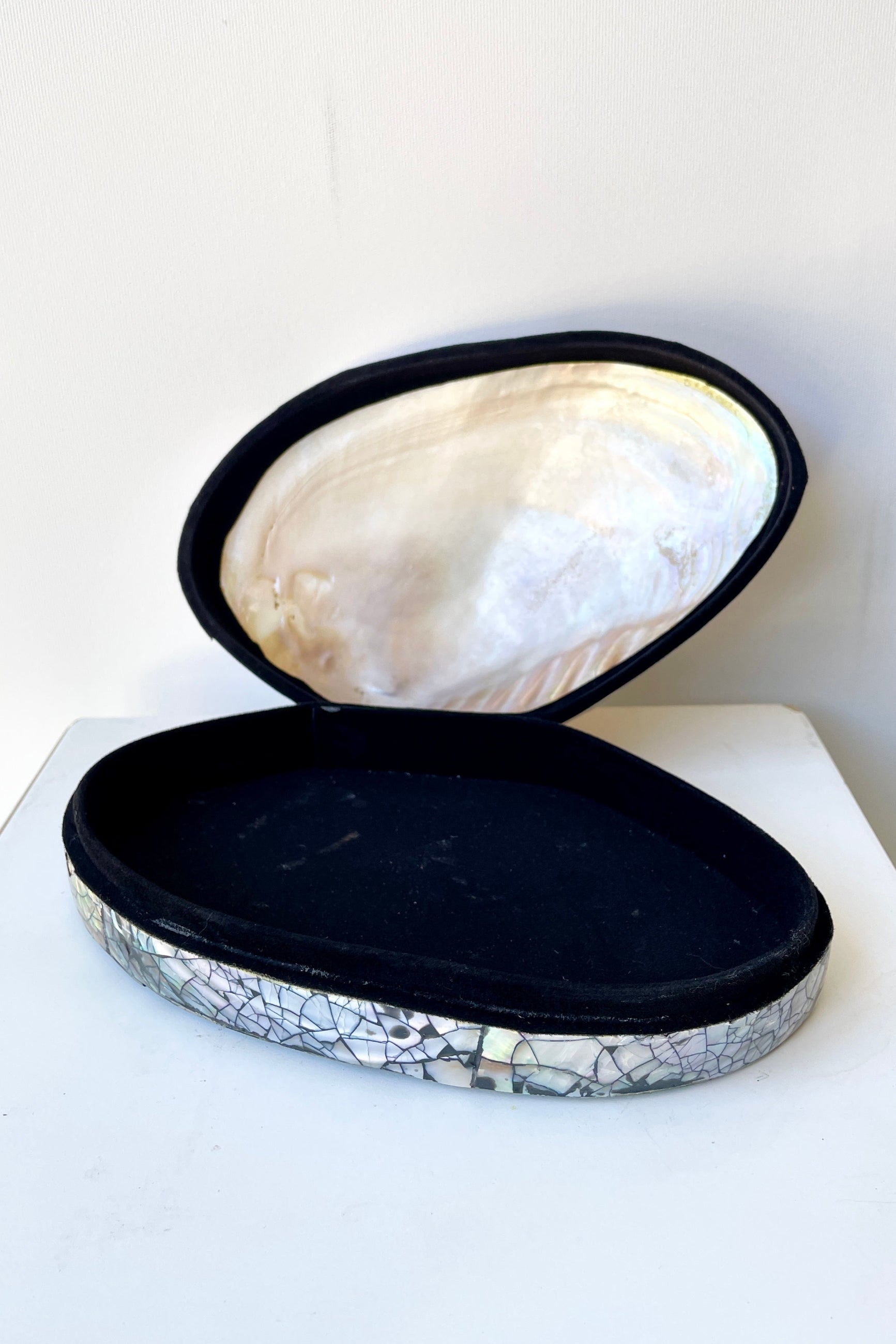 The shell trinket box open to show the black interior. ©Sprout Home