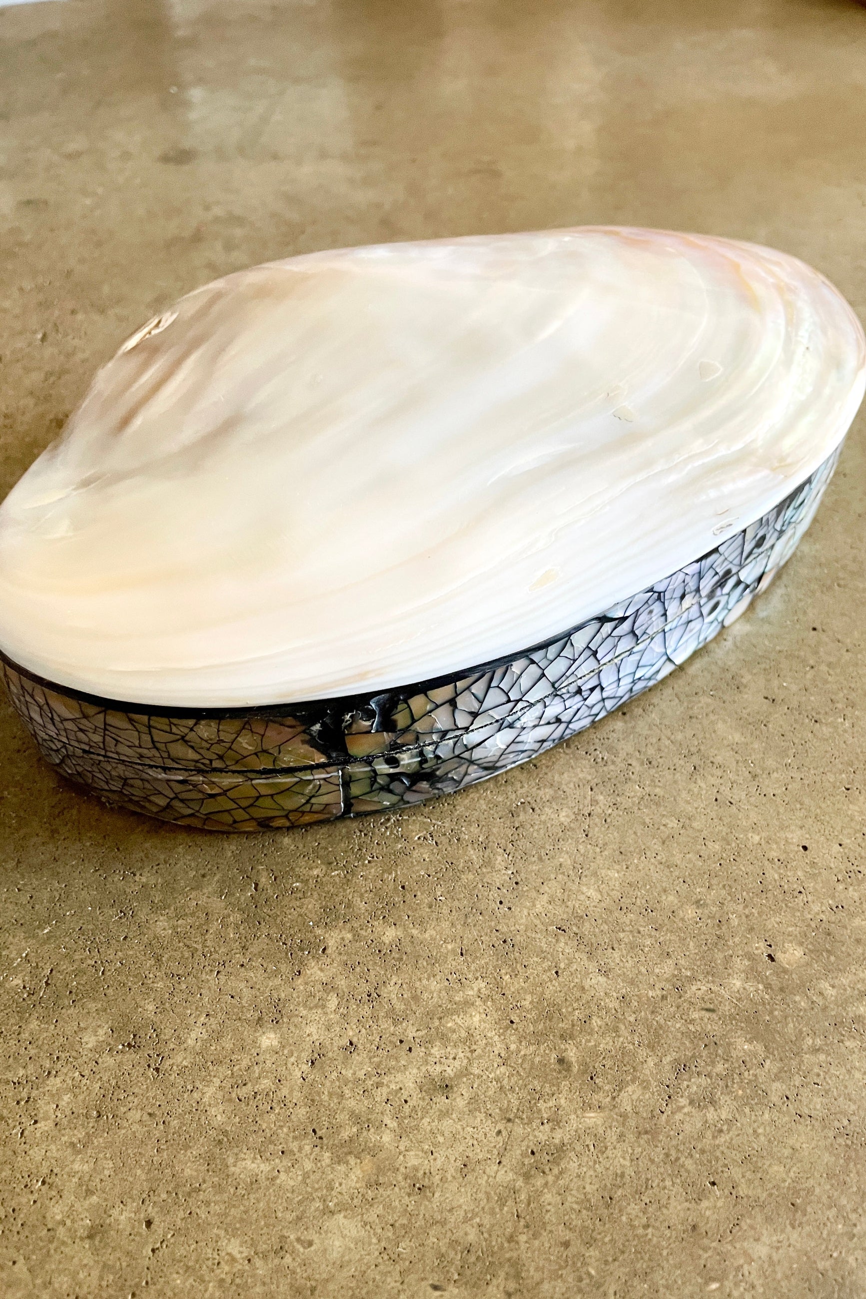Shell Trinket Box shown on cement. ©Sprout Home