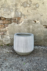 Photo of white and gray striped Harith pot against a cement wall.