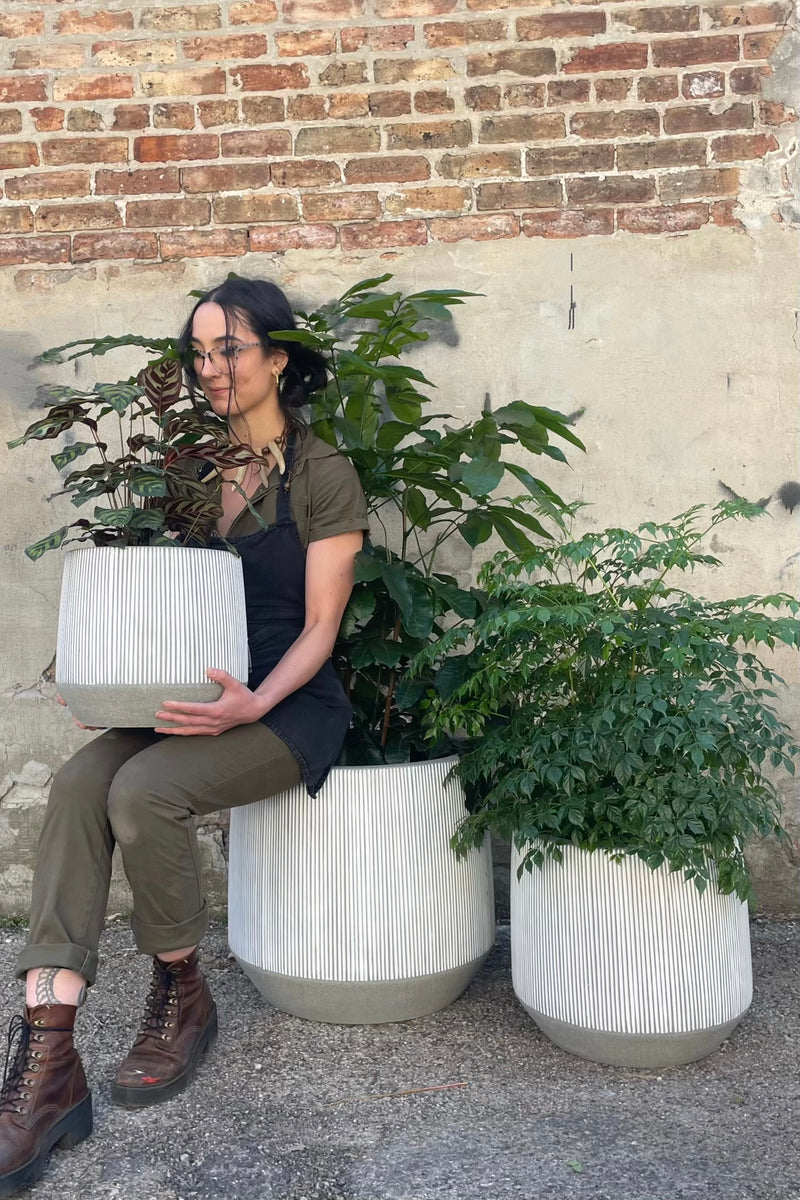 A person sitting with three sizes of white and gray striped  Harith pots and plants against a cement and brick weall.